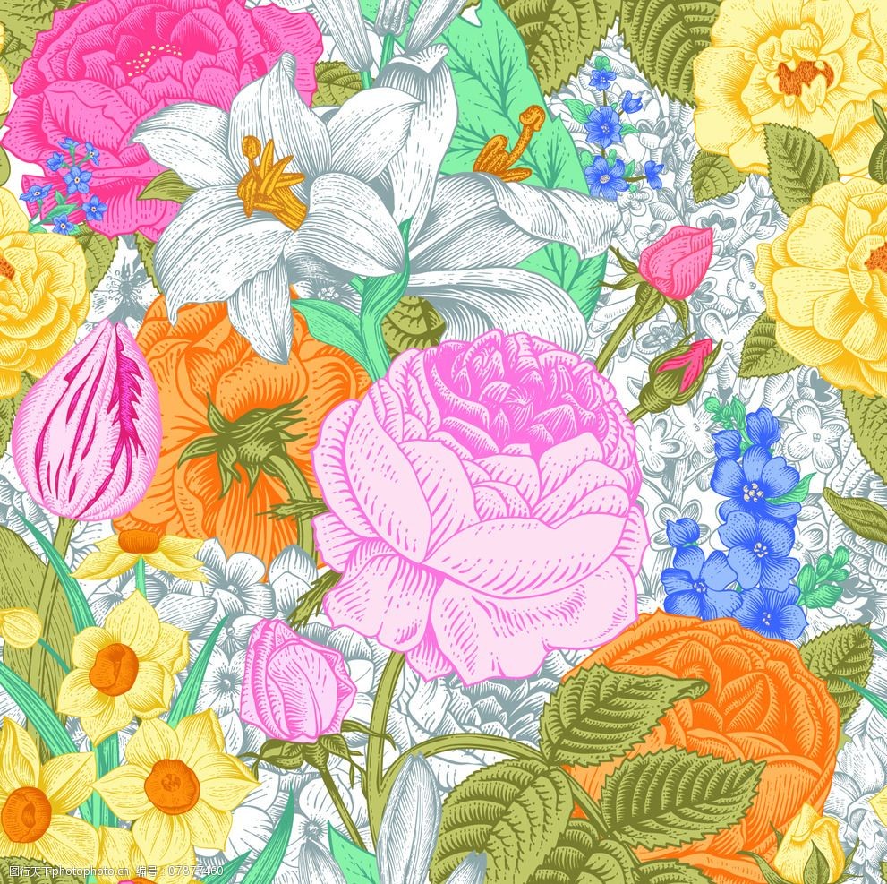 手绘花卉图片