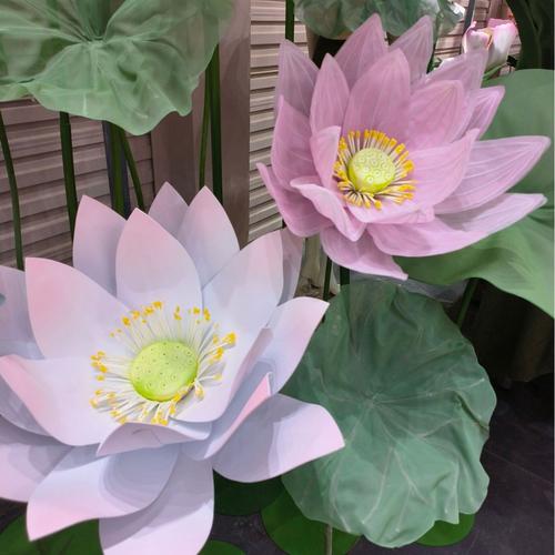 三水花卉